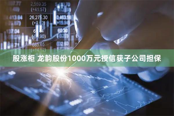 股涨柜 龙韵股份1000万元授信获子公司担保