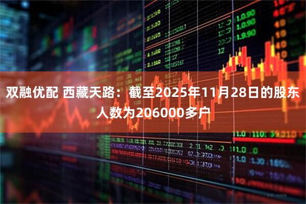 双融优配 西藏天路：截至2025年11月28日的股东人数为206000多户
