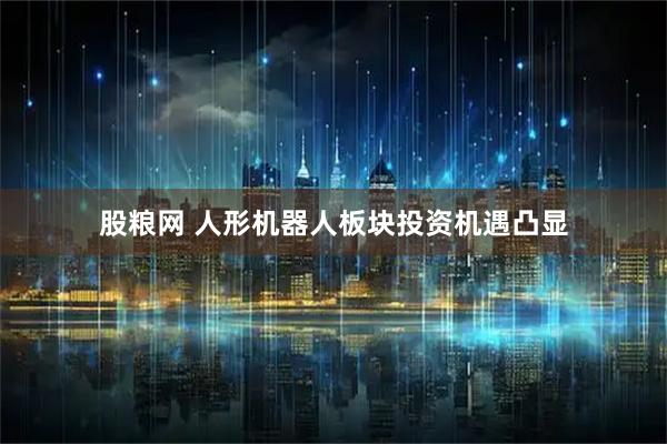股粮网 人形机器人板块投资机遇凸显